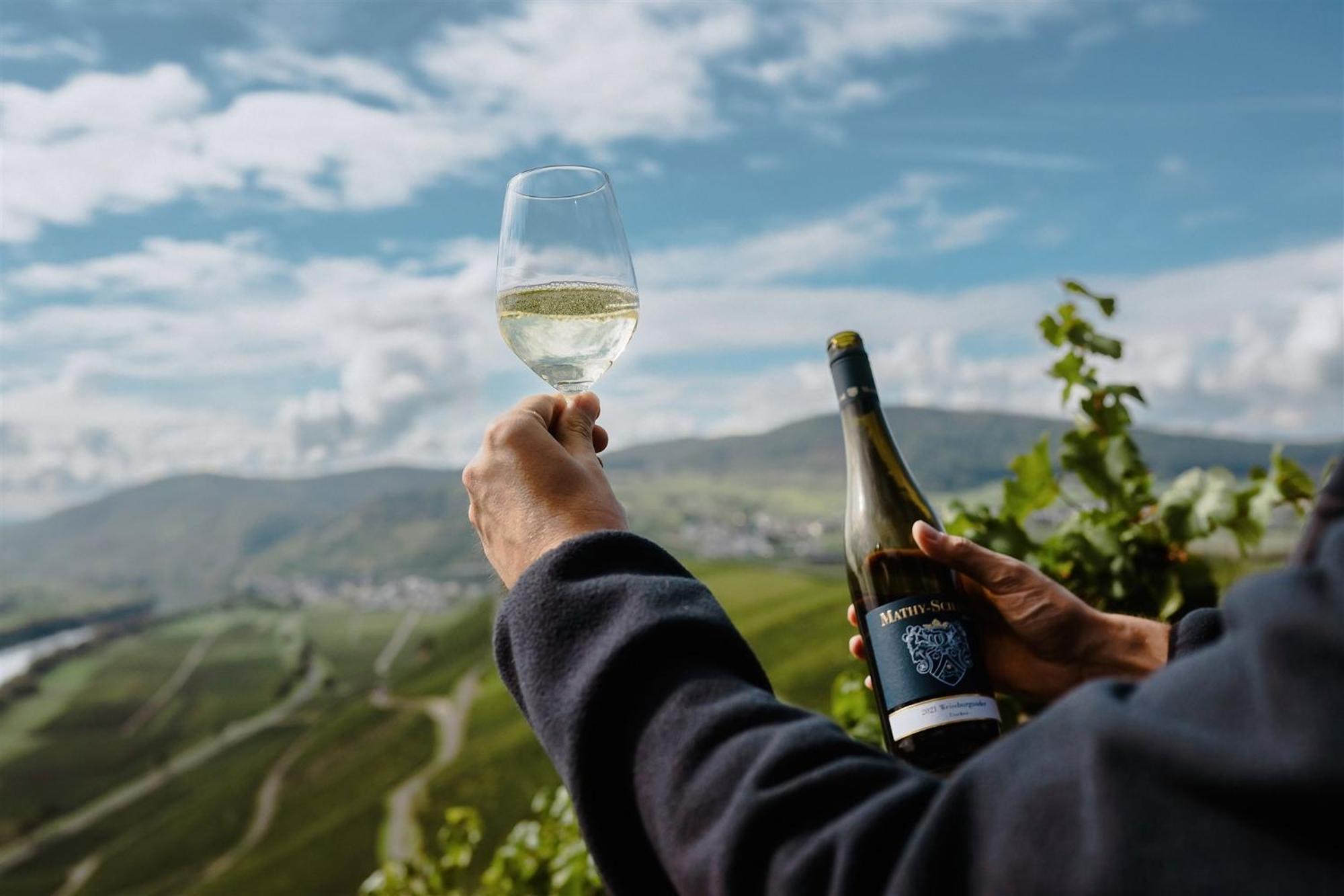 Gaestehaus Weingut Mathy-Schanz Osann-Monzel Kültér fotó