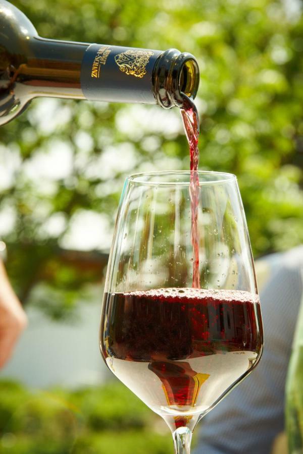 Gaestehaus Weingut Mathy-Schanz Osann-Monzel Kültér fotó