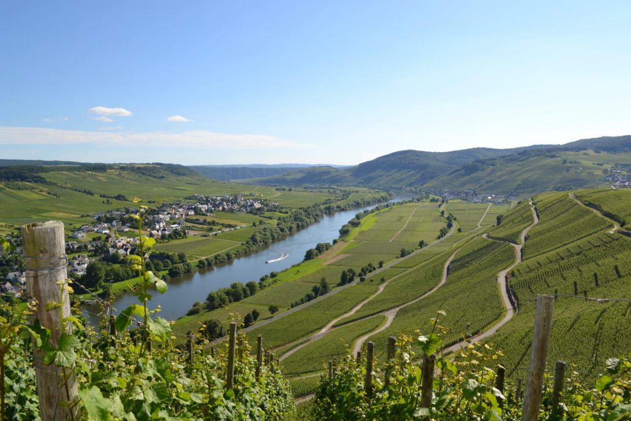 Gaestehaus Weingut Mathy-Schanz Osann-Monzel Kültér fotó